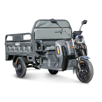 Грузовой электротрицикл Rutrike Маяк 1600 60V1000W серый