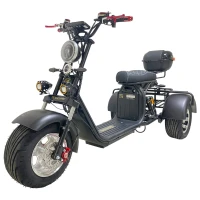 Электроскутер трехколесный CITYCOCO GT X11 PRO TRIKE 2024 Матовый черный